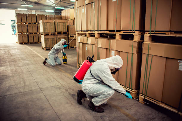 Pest Control Cost in Williamsville, IL