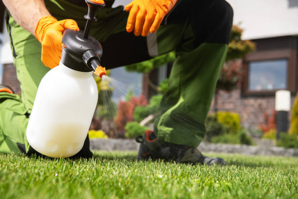 Best Cockroach Control Services  in Wliamsvle, IL
