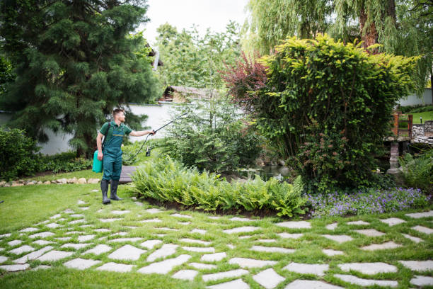 Reliable Williamsville, IL Pest Control Solutions