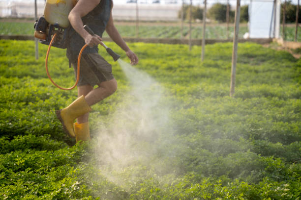 Best Emergency Pest Control  in Wliamsvle, IL