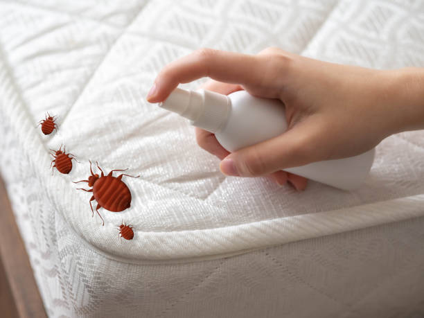 Best Affordable Pest Control Services  in Wliamsvle, IL