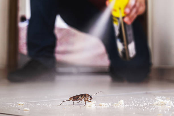 Best Best Pest Control Companies  in Wliamsvle, IL