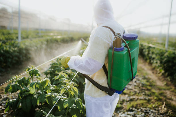 Pest Prevention Services in Williamsville, IL